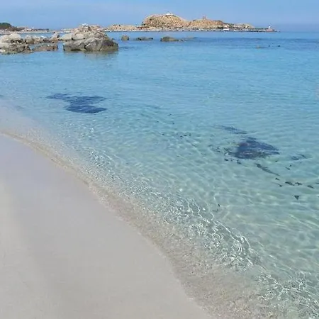 Arimarina Lumio (Corsica)